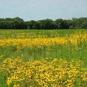Wapihani Nature Preserve