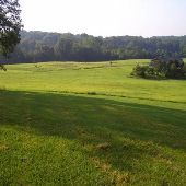 Property (Sellers)