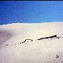 Indiana Dunes State Park