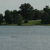 Prides Creek Park