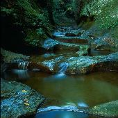 Fall Creek Gorge Nature Preserve