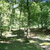 Property (Kanneberg)