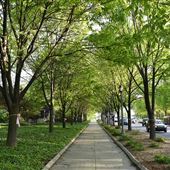 Headwaters Park