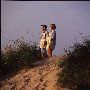 Indiana Dunes State Park