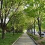 Headwaters Park