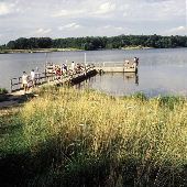 Potato Creek State Park