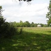 Property (Wilz)