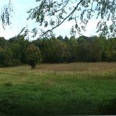 Property (Dotson)