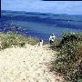 Indiana Dunes State Park
