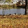 Ouabache State Park