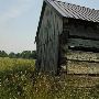 Buffalo Run Farm