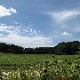 Property (Klemme)