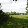 Property (Wilz)