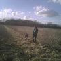 Hollywood Farm