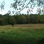 Property (Dotson)