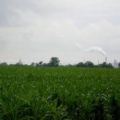 Lafayette - Farms