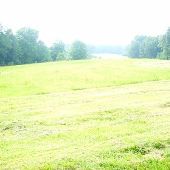 Property (McGuire)