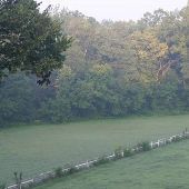 Property (Overton)