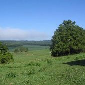Vencel Farm