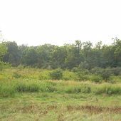 Property (Frazee)