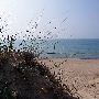 Indiana Dunes State Park