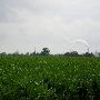 Lafayette - Farms