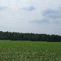 Bell Woods Nature Preserve