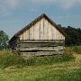 Buffalo Run Farm