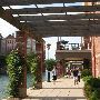 Central Canal (EAST of West Street and NORTH to 11th Street)