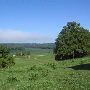 Vencel Farm