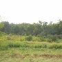 Property (Frazee)