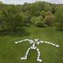 Indianapolis Museum of Art