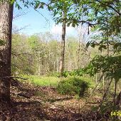 Property (Good-Woodling)