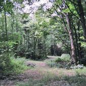 Property (Horton)