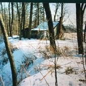 Property (Wilson)