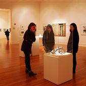 Fort Wayne Musuem of Art