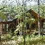 Lena Park