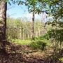 Property (Good-Woodling)