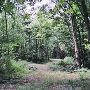 Property (Horton)