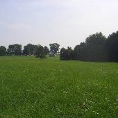 Property (Fowler)