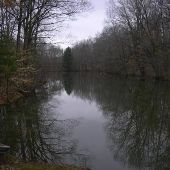 Property (Parker)
