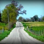 Hollywood Farm