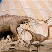 Children's Museum of Indianapolis