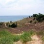Indiana Dunes State Park