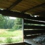 Buffalo Run Farm