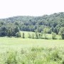 Property (Whitesell)