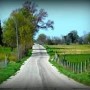 Hollywood Farm