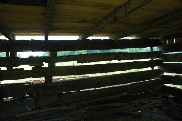 Buffalo Run Farm (7/2/2009 - Credits: A. Williams)