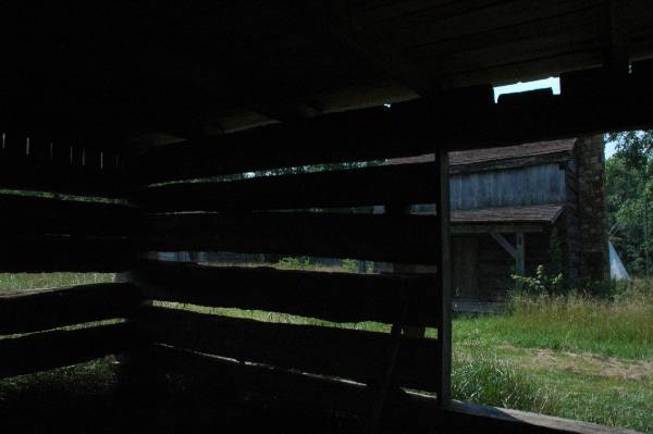 Buffalo Run Farm (7/2/2009 - Credits: A. Williams)