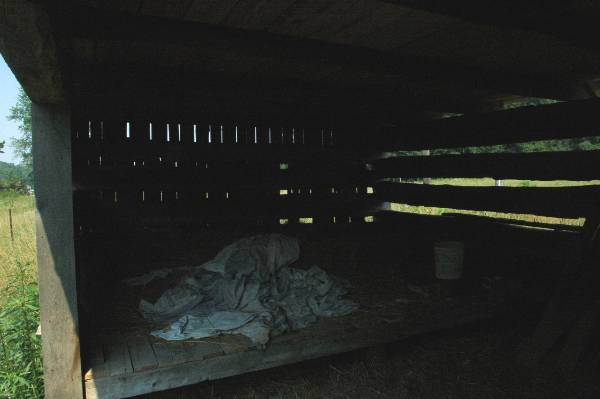 Buffalo Run Farm (7/2/2009 - Credits: A. Williams)